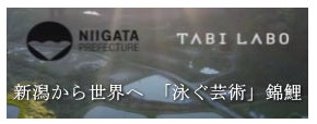 Niigata Prefecture Official Channel