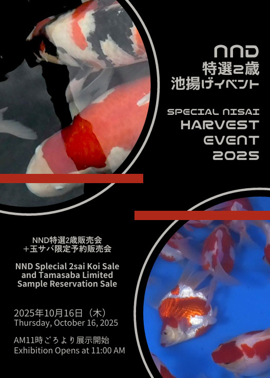 2025販売イベント
