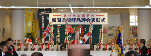 展示の様子
