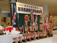 新潟県錦鯉品評会　表彰会場