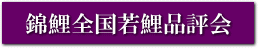 錦鯉全日本若鯉品評会