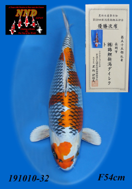 第55部 孔雀 優勝次席
