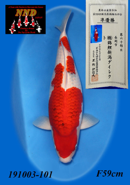 第60部 衣 準優勝