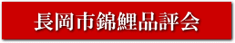長岡市錦鯉品評会