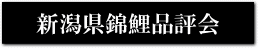 新潟県錦鯉品評会