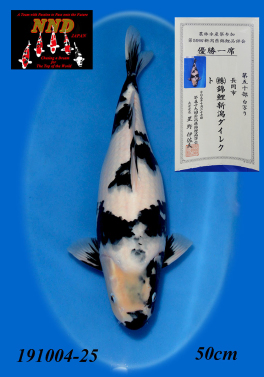 第50部 白写り 優勝一席